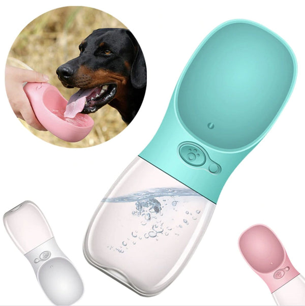 Gourde portable pour animaux de compagnie, gourde pour chien