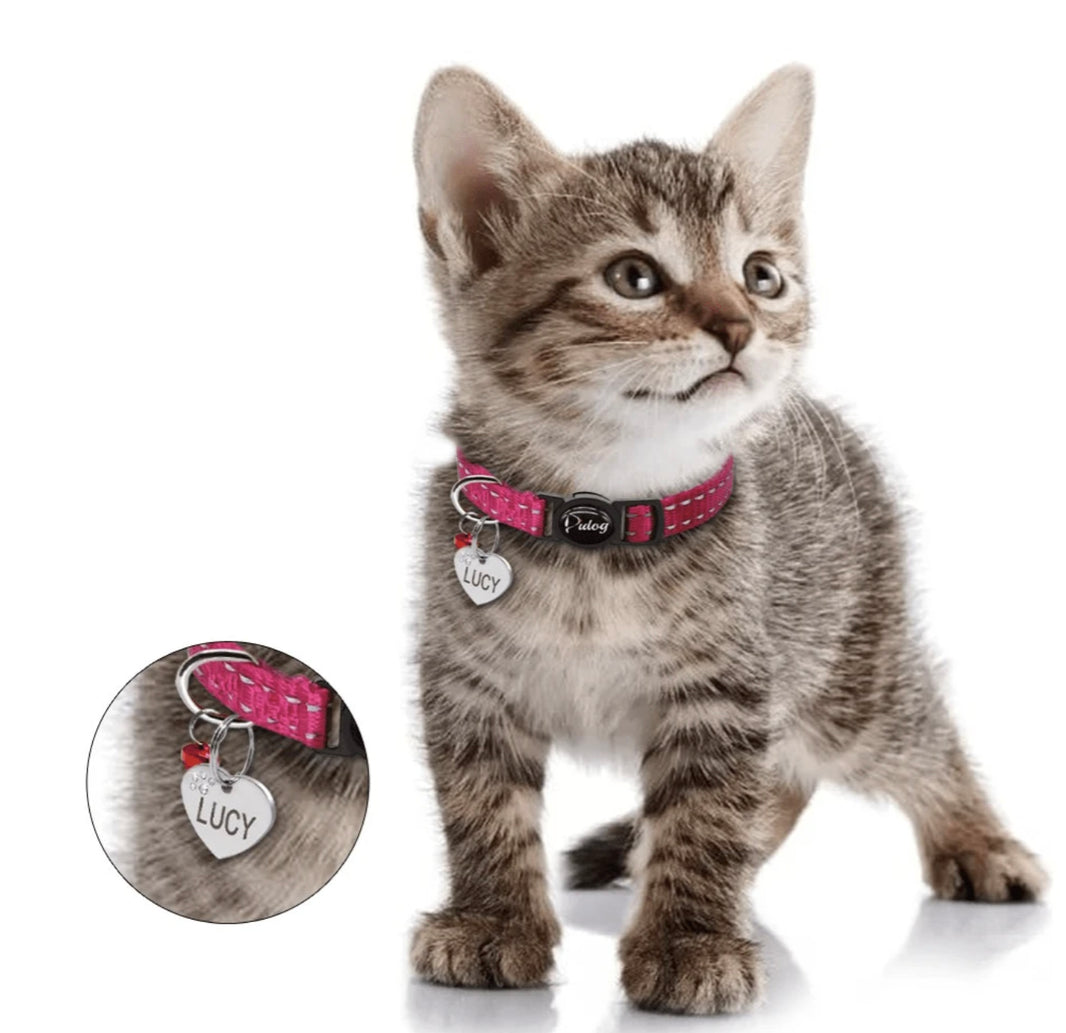 Quel collier pour chat choisir ?