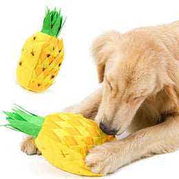 Tapis de Fouille Chien Ananas