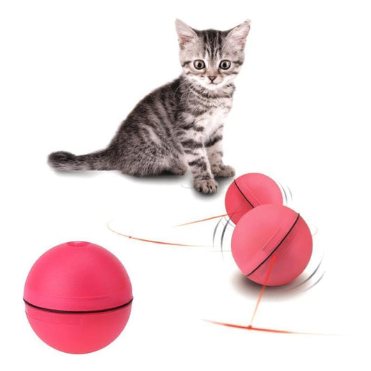 Jouet Chat Balle Laser Automatique