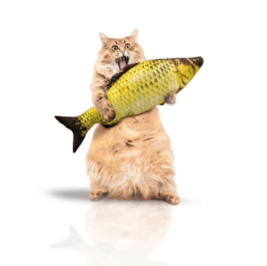 Jouet chat poisson cataire