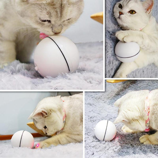 Jouet Chat Balle Laser Automatique