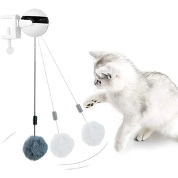 Jouet Interactif YO-YO pour Chat