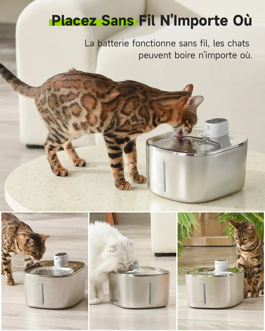 Fontaine a Eau Chat Inox Sans Fil Ultra Silencieuse