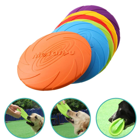 Frisbee pour chien