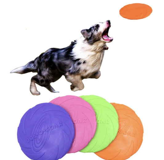 Frisbee pour chien