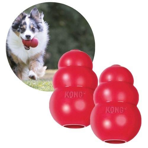 Jouet chien à mâcher - Kong classic rouge