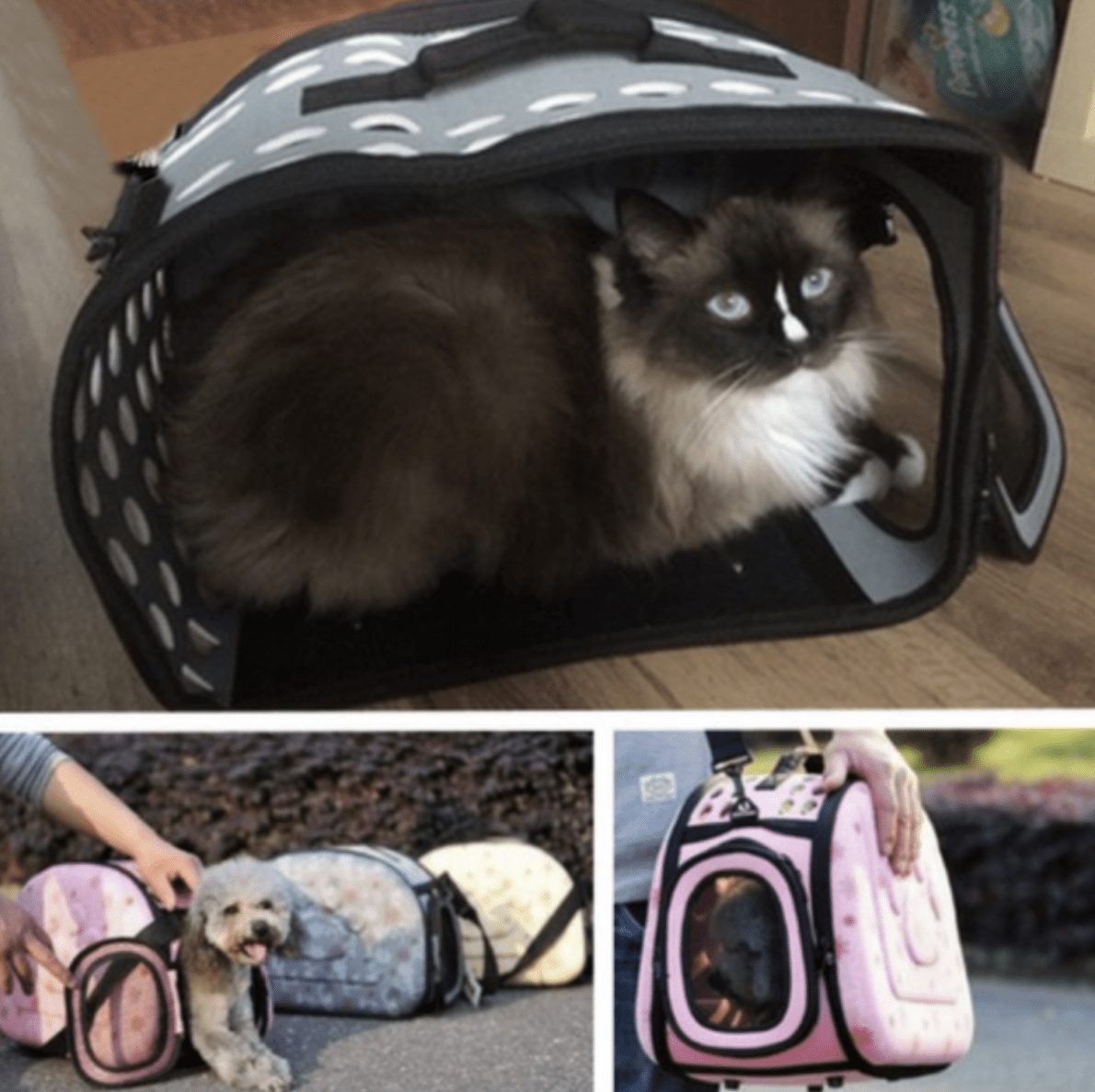 Cage de transport pour chat et chiot prix Maroc