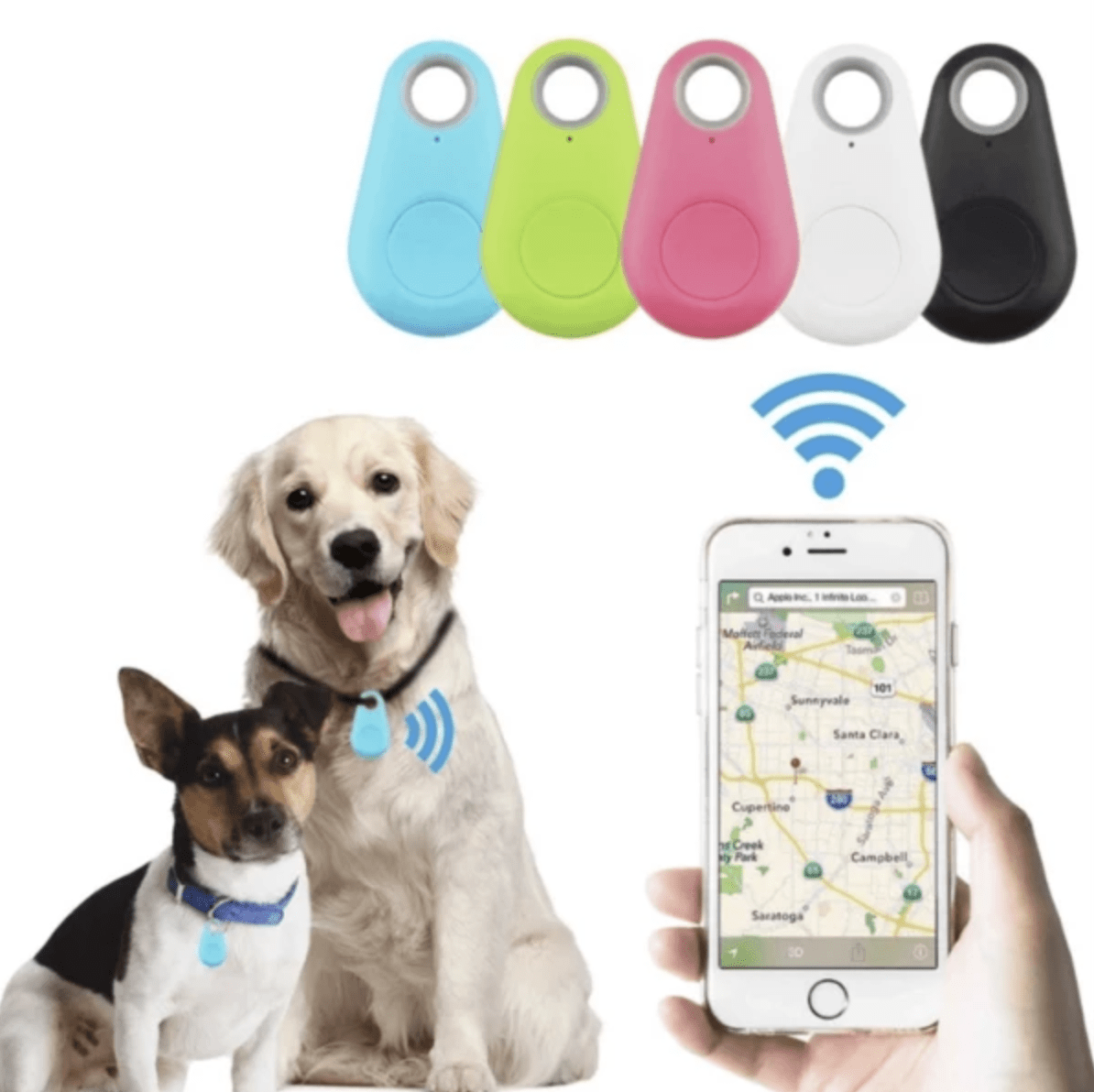 GPS pour chiens et chats sans abonnement