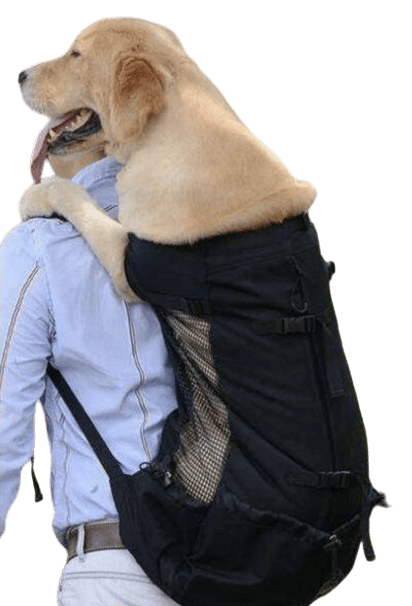 Sac de transport pour chien