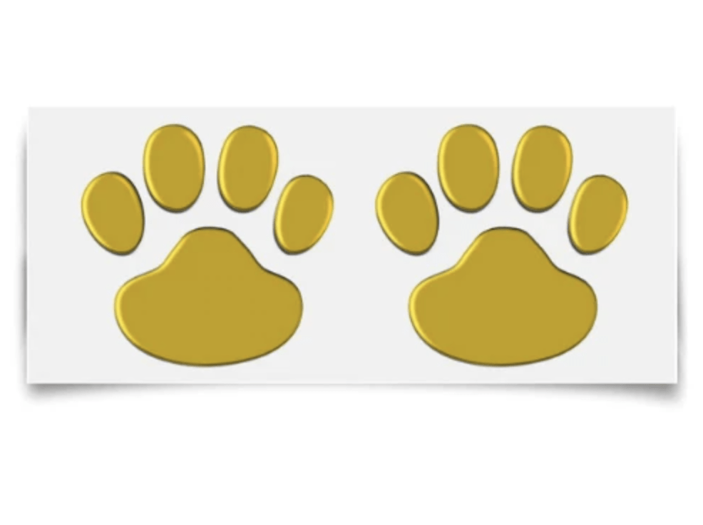 Ensemble d'empreintes de pattes de chien et de chat, cadre photo en bois,  plâtre 3D 