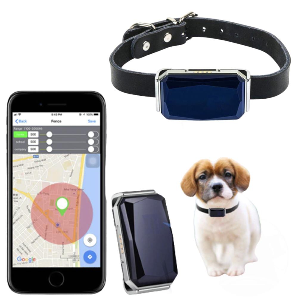 Collier GPS pour chien, repérage géolocalisation de chiens de