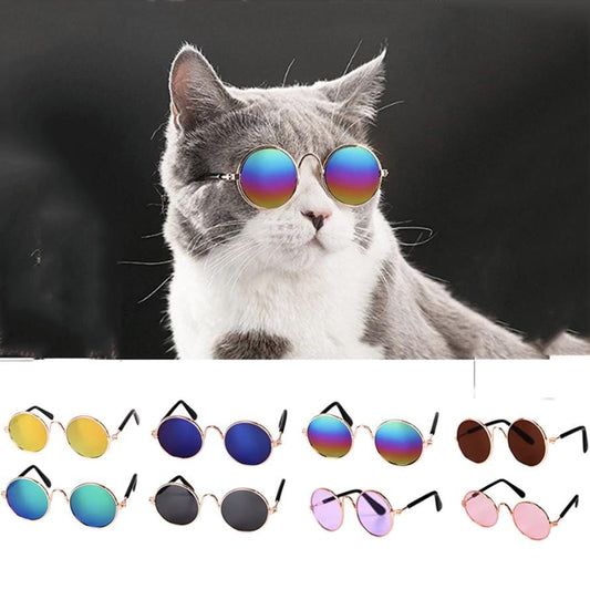 Lunettes de soleil pour chats