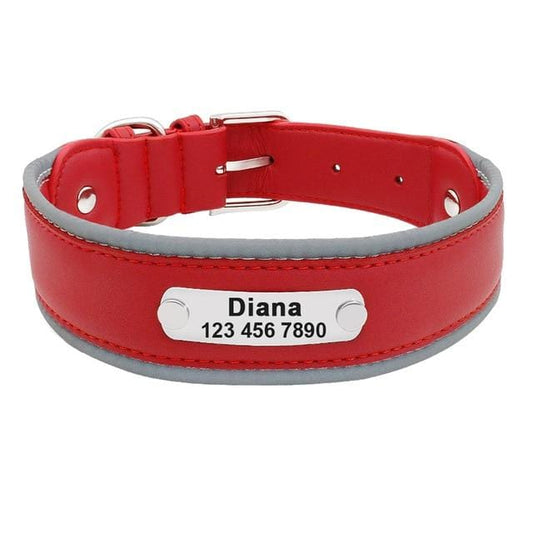 Grand Collier et personnalisé en cuire pour Chiens